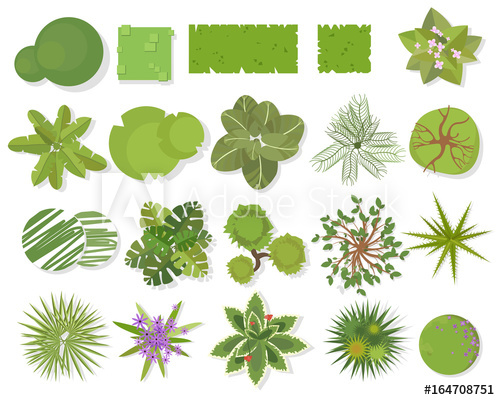 500x400 Trees Top View Different Trees, Plants Vector Set
