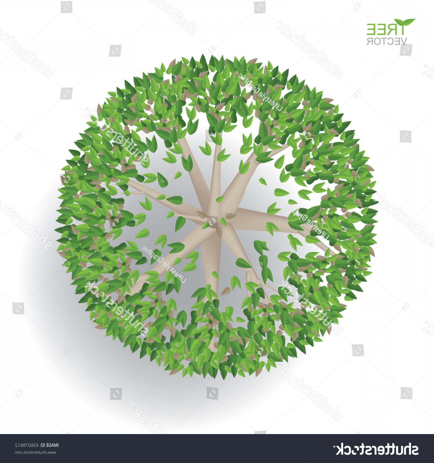 1800x1920 Vector Top View Trees Plans Wallkeeper