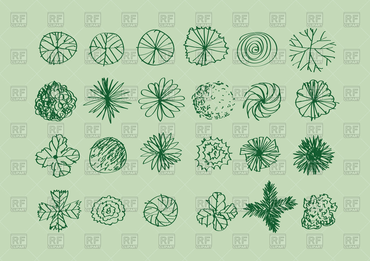 1200x848 Doodle Trees Top View For Landscape Design Projects Vector Image