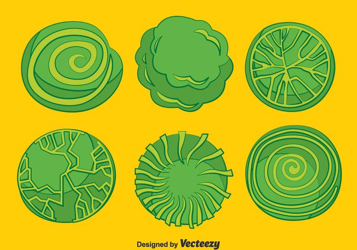 700x490 Download Vector