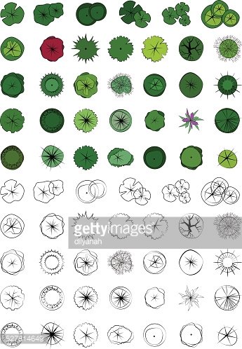 345x498 Landscape Design Symbols, Trees Top View, Vector Stock Vectors