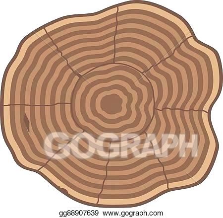 450x439 Tree Trunk Slices Vector Isolated Ideas