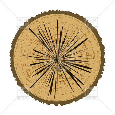 400x400 Tree Rings And Saw Cut Tree Trunk Vector Image Of Signs, Symbols