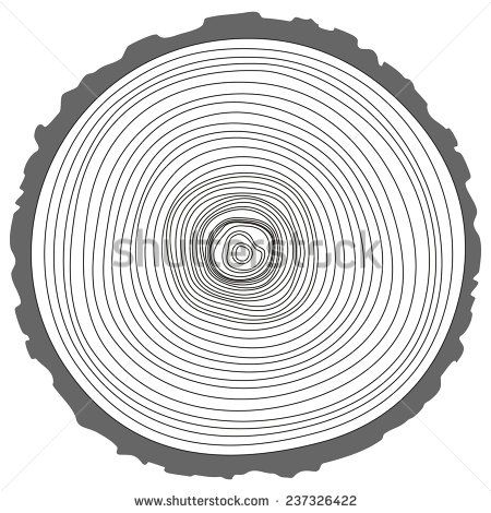 450x470 Tree Rings Saw Cut Tree Trunk Vector Inspire Tree
