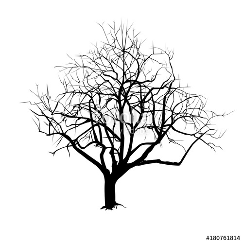 500x500 Tree Trunk Silhouette With Fallen Leaves Stock Image And Royalty