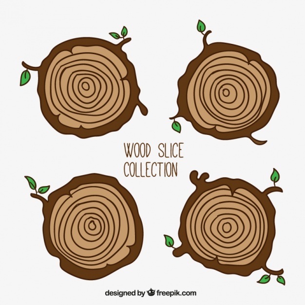 626x626 Trunk Vectors, Photos And Free Download