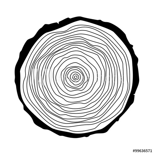 500x500 Vector Illustration Tree Rings Saw Cut Tree Trunk Annual Tree