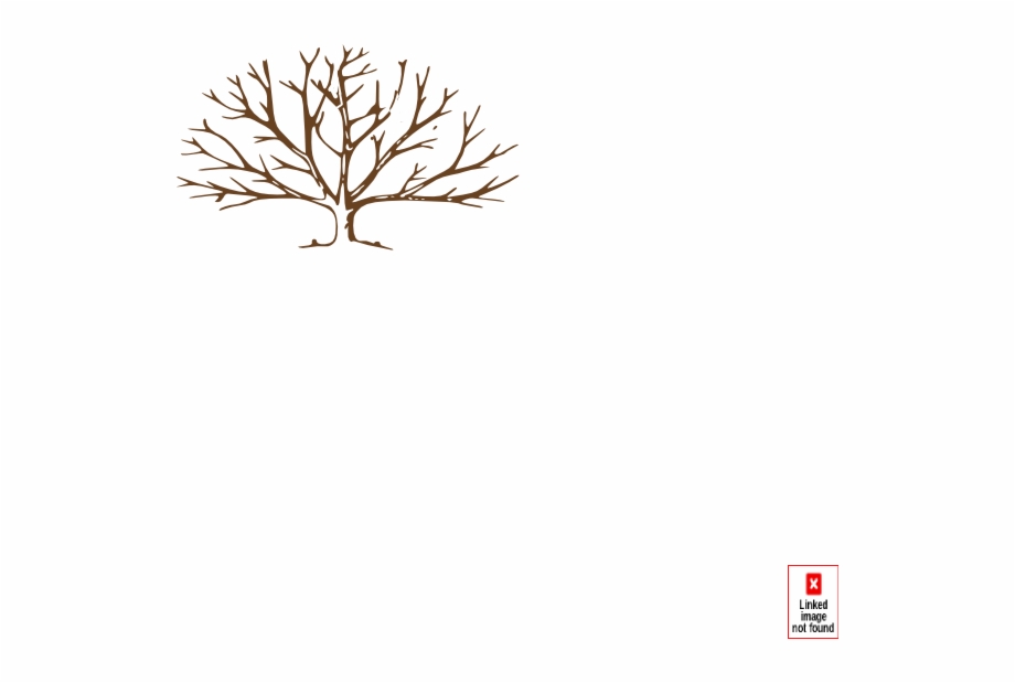 920x619 How To Set Use Brown Tree Vector