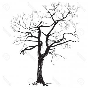 300x300 Old Tree Silhouettes With Roots Vector Clipart Studiogrfx