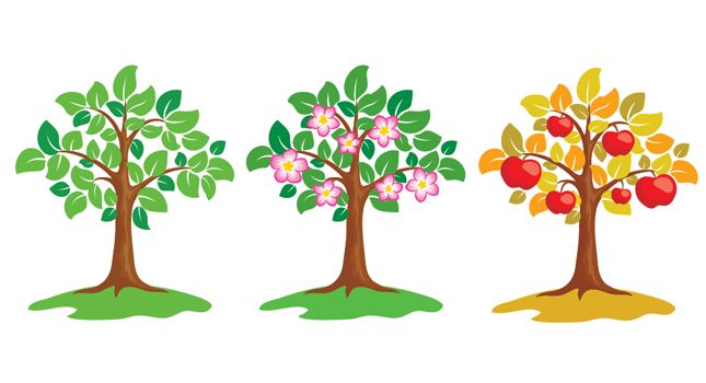 645x350 Free Vector Apple Tree Files, Vectors Graphics