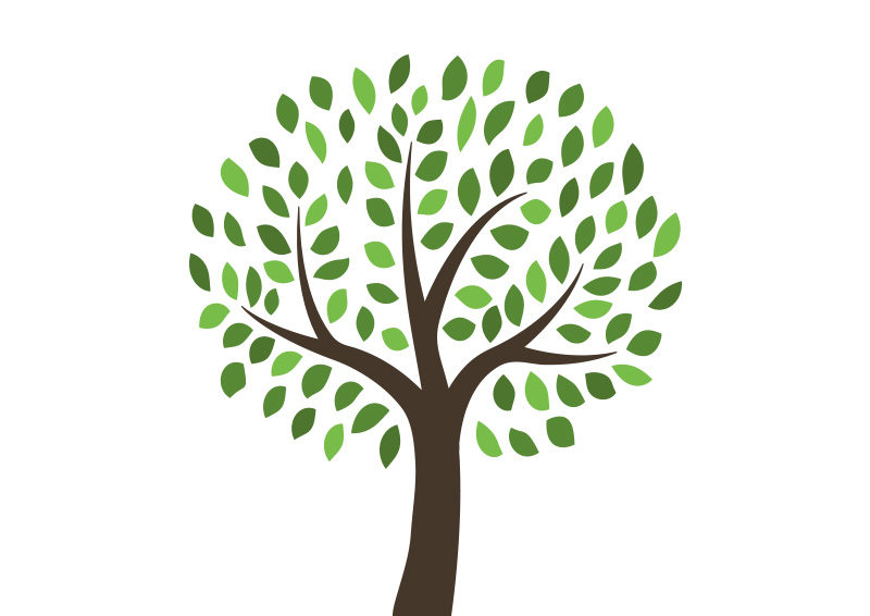 800x566 Free Vector Tree Illustration