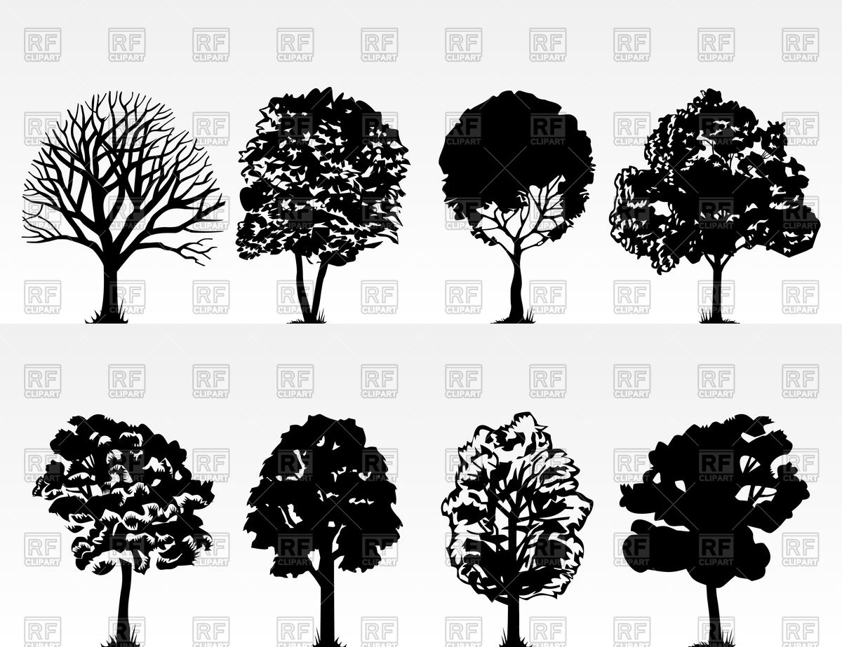 1200x923 Silhouettes Of Trees Vector Image Of Plants And Animals