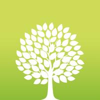 200x200 Tree Free Vector Art