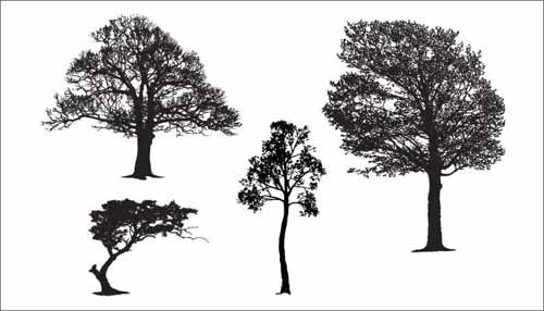 500x286 Tree Vector Free Editable Illustrations To Download