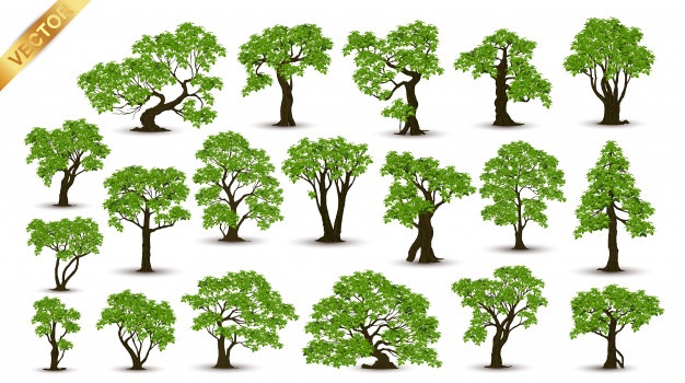 626x350 Tree Vectors, Photos And Free Download