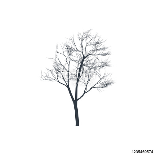 500x500 Tree Silhouette On White Background Bare Tree Vector