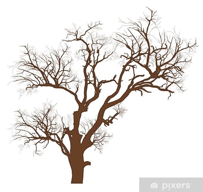 700x663 Dry Tree Vector Illustration Wall Mural We Live To Change