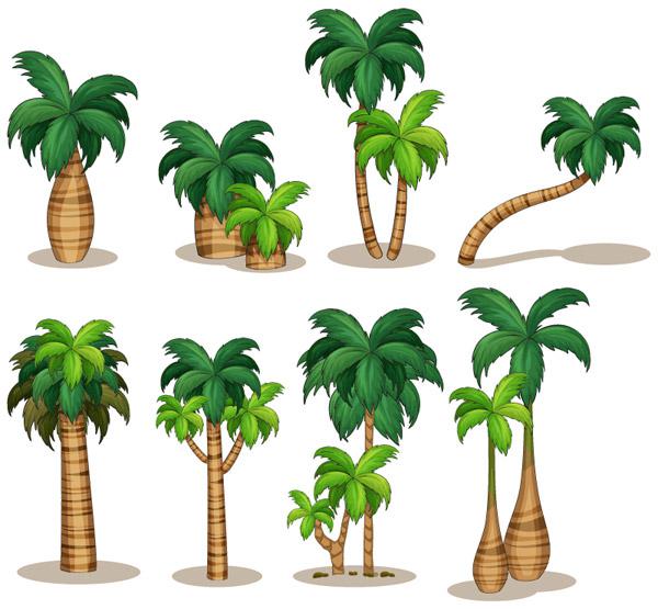 Coconut Tree Vector 600x555 Coconut Tree Vector