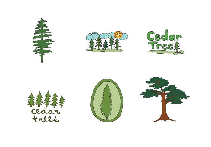 Free Cedar Tree Vector Series Free Graphics Uihere 700x490 Free Cedar Tree Vector Series Free Graphics Uihere