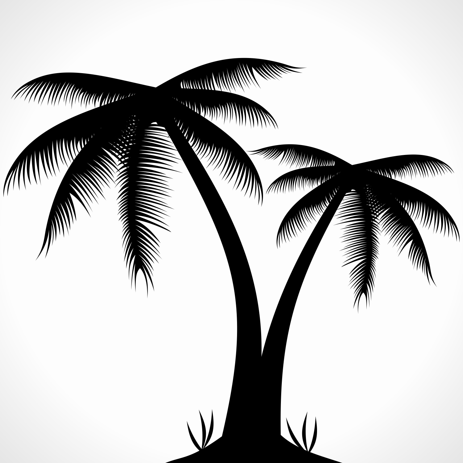 Palm Tree Vector Art Images 1500x1500 Palm Tree Vector Art Images