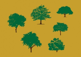 Mangoes Free Vector Graphic Art Free Download 285x200 Mangoes Free Vector Graphic Art Free Download