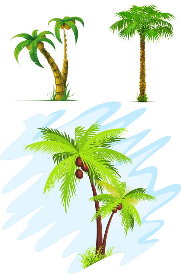 Summer Coconut Trees Vector Material My Free Photoshop World 600x910 Summer Coconut Trees Vector Material My Free Photoshop World