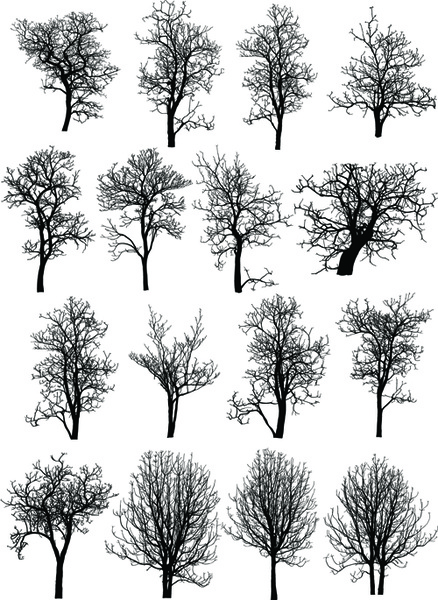 Various Dead Trees Vector Set Free Vector In Adobe Illustrator 438x600 Various Dead Trees Vector Set Free Vector In Adobe Illustrator