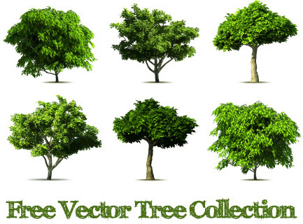 Vector Illustrator Realistic Tree Free Vector Download 433x320 Vector Illustrator Realistic Tree Free Vector Download