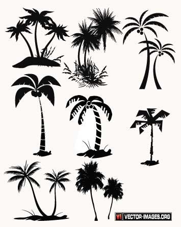 Palm Tree Vector Palm Tree Vector Format Silhouettes 355x444 Palm Tree Vector Palm Tree Vector Format Silhouettes