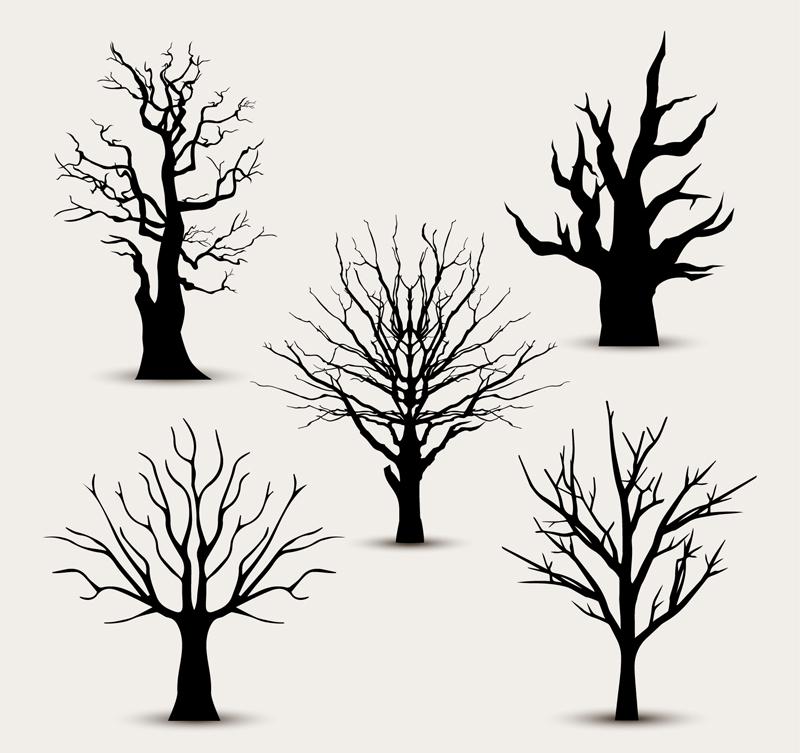 Black Leaf Tree Vector 800x753 Black Leaf Tree Vector