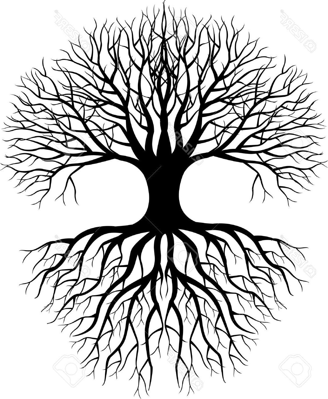 1068x1300 Top Tree Roots Silhouette Free Free Vector Art, Images