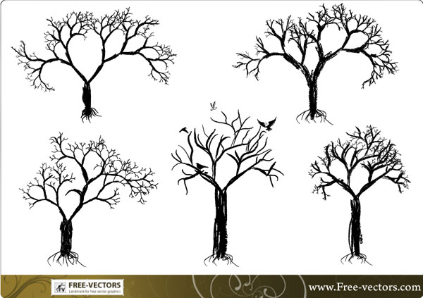 600x423 Tree Vector Set Download Free Vector Art Free Vectors