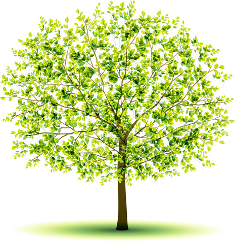 Creative Green Tree Design Vector Graphics Free Vector 465x475 Creative Green Tree Design Vector Graphics Free Vector
