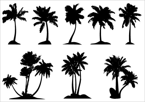 Download Free Png Free Palm Tree Vector Art Free, Download Free 501x351 Download Free Png Free Palm Tree Vector Art Free, Download Free
