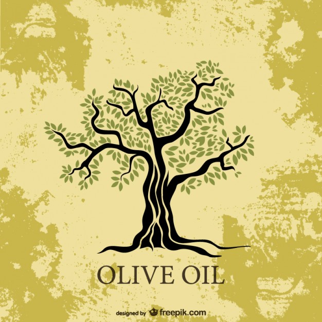 Olive Tree Vector Free Download 626x626 Olive Tree Vector Free Download