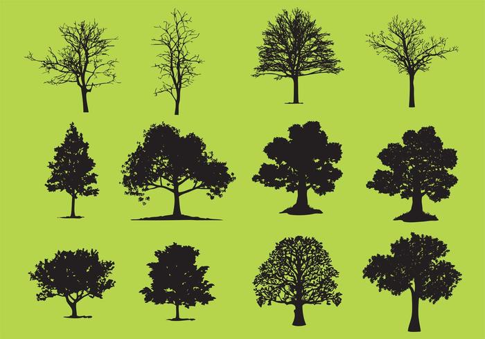 Tree Free Vector Art 700x490 Tree Free Vector Art