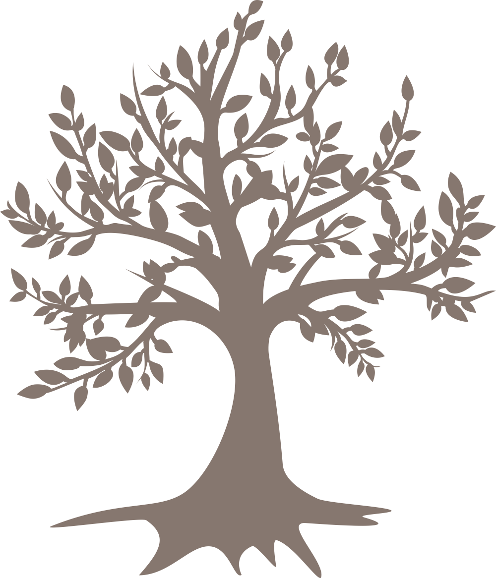 Tree Free Vector Coreldraw Vector 1000x1166 Tree Free Vector Coreldraw Vector