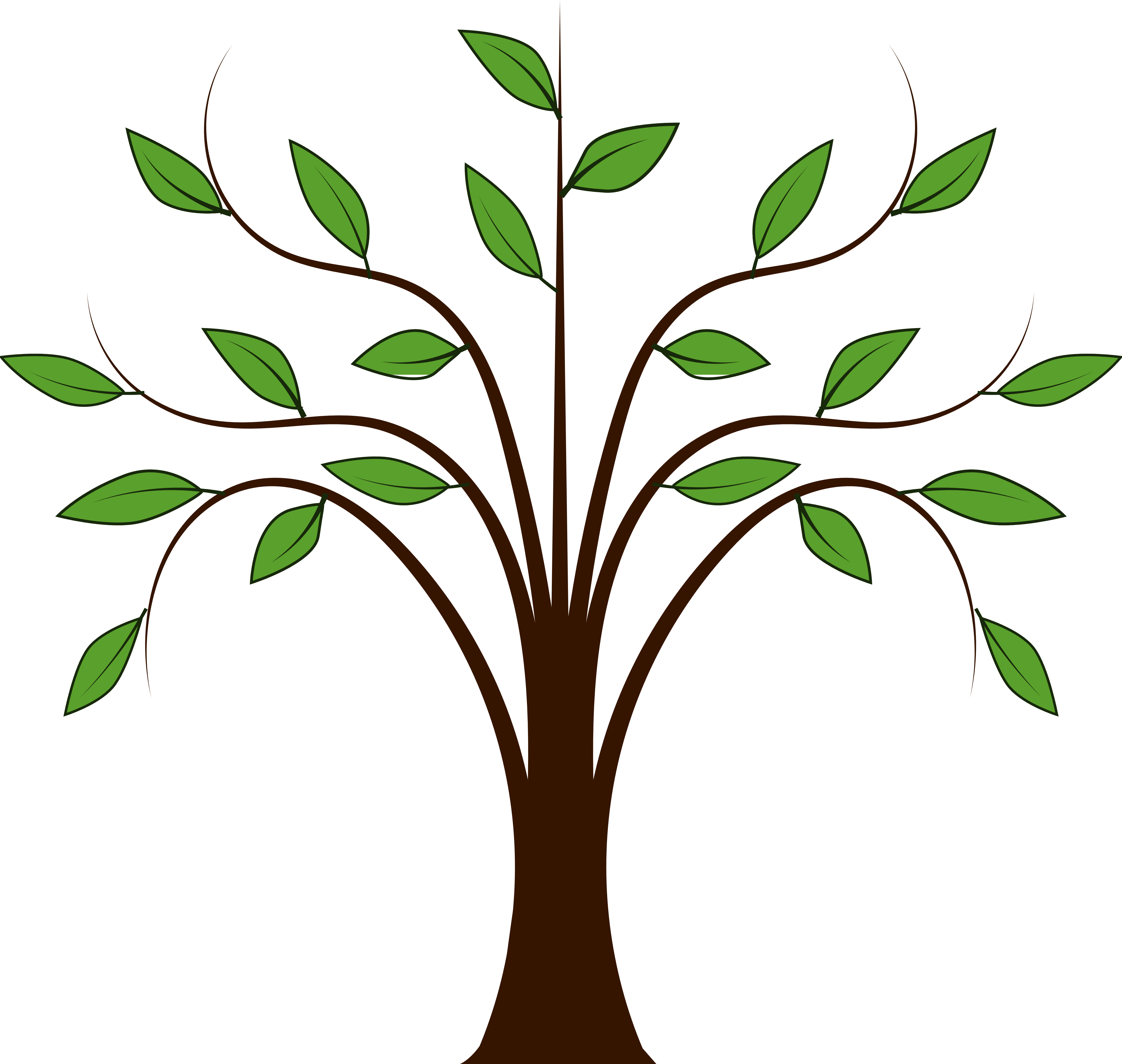 Trees Family Tree Clipart Free Clipart Images Cherry Tree Tree 5555x5270 Trees Family Tree Clipart Free Clipart Images Cherry Tree Tree