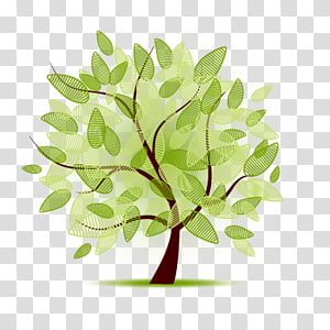 Vector Tree Transparent Background Png Cliparts Free Download 300x300 Vector Tree Transparent Background Png Cliparts Free Download