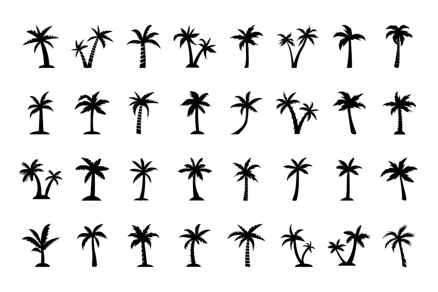 Palm Tree Vector Icons Cultracing 1440x960 Palm Tree Vector Icons Cultracing