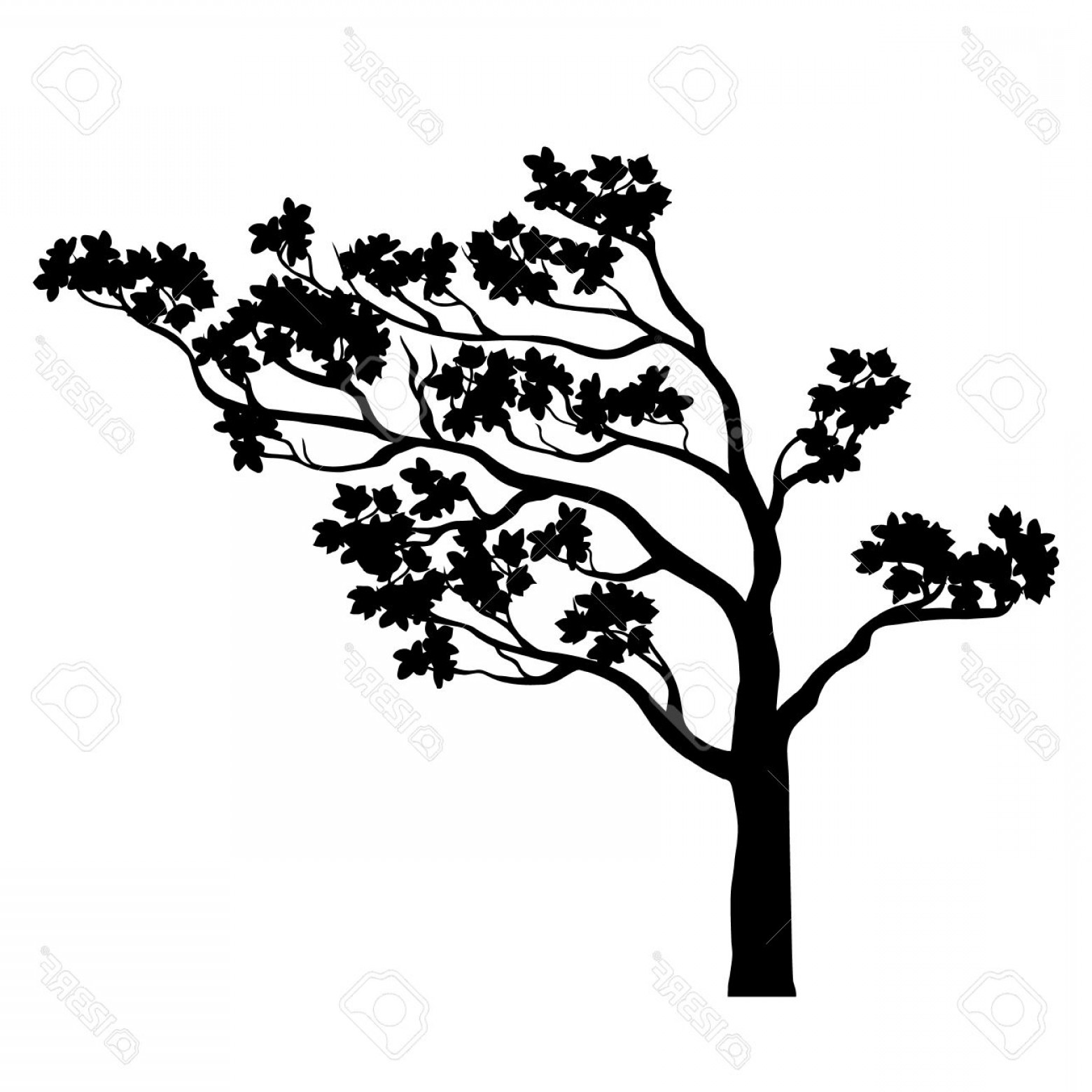 Photostock Vector Tree Sakura Silhouette Black And White Isolated 1560x1560 Photostock Vector Tree Sakura Silhouette Black And White Isolated