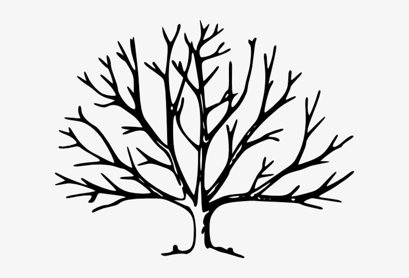 Bare Tree Png 820x557 Bare Tree Png