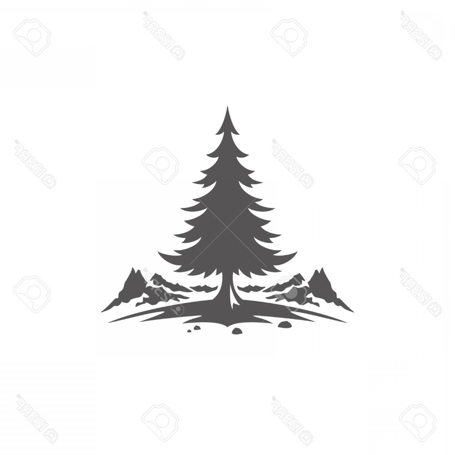 Pine Tree Vector Graphic Of Lamaison 1560x1560 Pine Tree Vector Graphic Of Lamaison