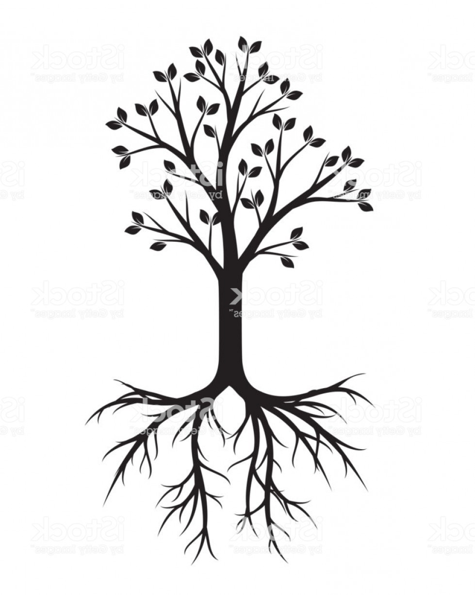 Tree Vector Clip Art Black And White Studiogrfx 979x1228 Tree Vector Clip Art Black And White Studiogrfx