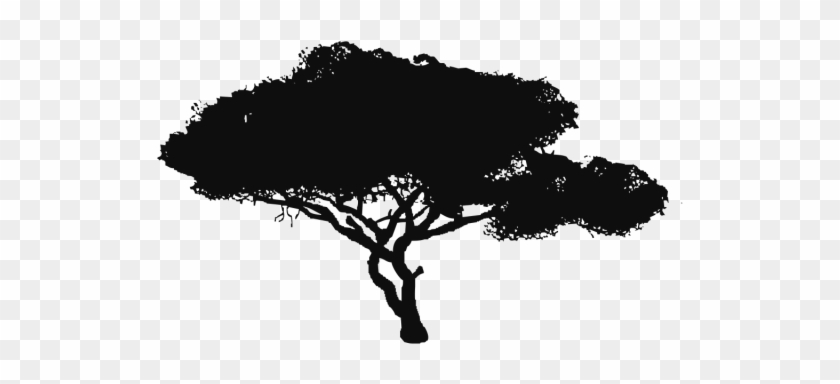 Tree Vector Clipart 840x384 Tree Vector Clipart