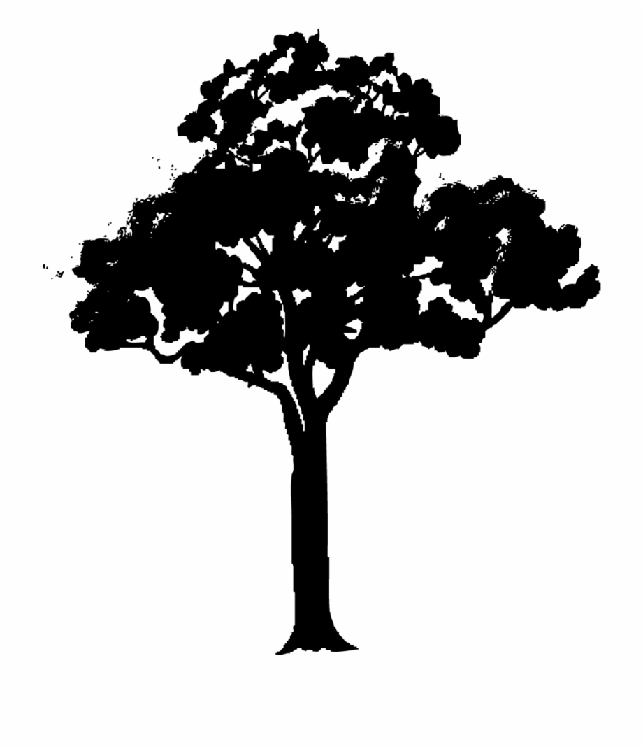 Tree Vector Png Images 920x1071 Tree Vector Png Images