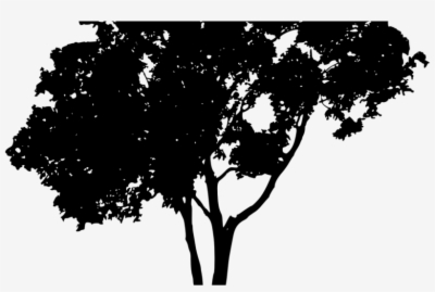 Tree Vector Png 400x269 Tree Vector Png