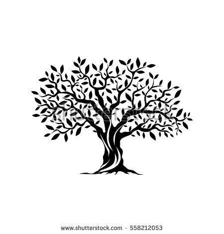 Olive Tree Clipart Black And White 450x470 Olive Tree Clipart Black And White
