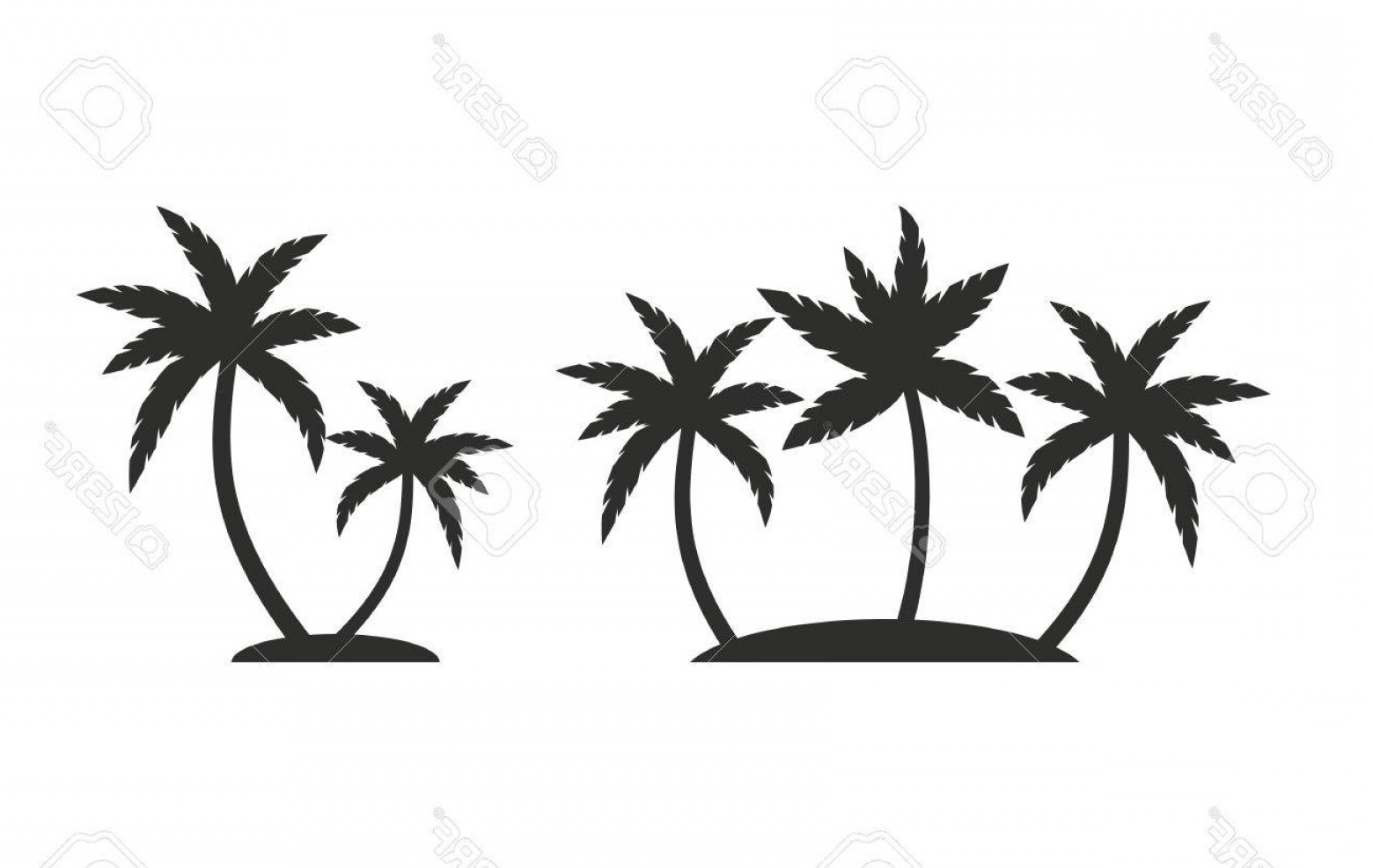 Photostock Vector Palm Tree Vector Icon Black Illustration 1560x987 Photostock Vector Palm Tree Vector Icon Black Illustration