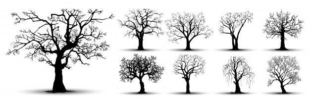 Trees Vectors, Photos And Free Download 626x206 Trees Vectors, Photos And Free Download